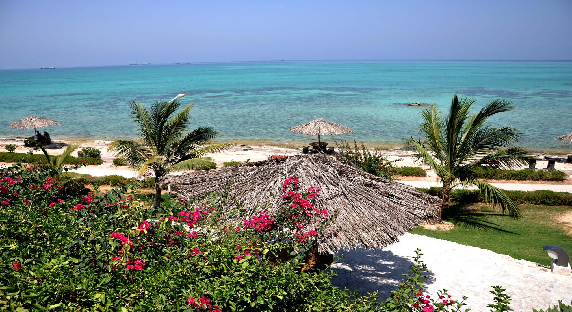 ساحل مرجان کیش